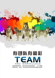 狼的团队图片