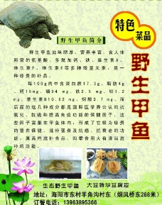 野生甲鱼馆图片