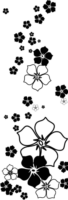 五叶花图片