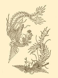 凤凰图片
