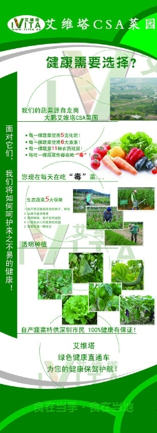 绿色蔬菜易拉宝图片