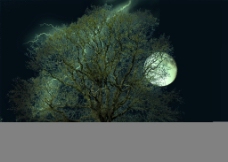 月夜的闪电图片