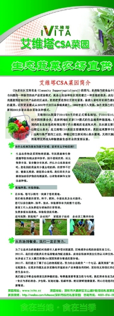 绿色蔬菜易拉宝图片
