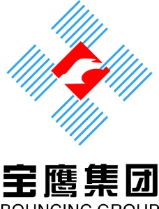 宝鹰集团Logo图片