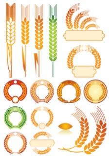 小麦矢量素材金色麦穗图形背景