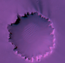 火星表面火山口图片