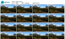 火山草原昆虫高清实拍视频素材
