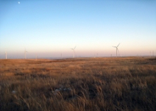 草原的风车群图片