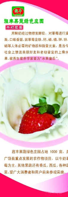牛奶草莓简介展板图片