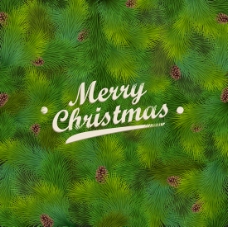矢量圣诞节绿色松枝背景