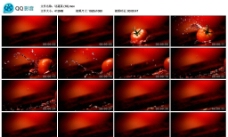 水中西红柿高清实拍视频素材