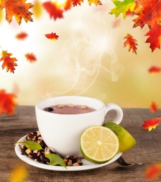咖啡杯枫叶图片