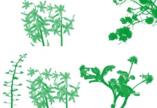 绿色植物笔刷图片
