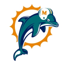 海滩 Miami Dolphins 跳跃图片