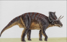 白垩纪 恐龙图片