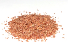 红米 五谷杂粮图片