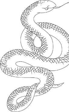 线刻蛇图片