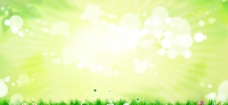 春季绿色背景图片