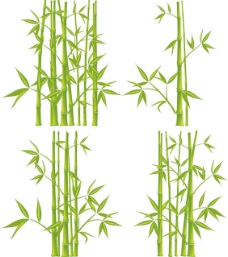 矢量竹子植物素材背景