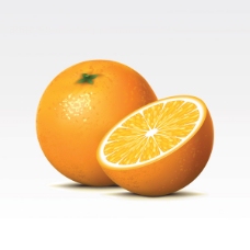 矢量新鲜橙子水果素材图片