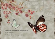 欧式花纹背景复古蝴蝶背景图片
