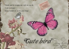 欧式花纹背景复古蝴蝶背景图片