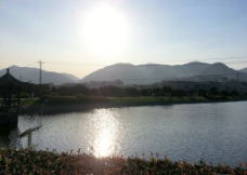东湖日落图片