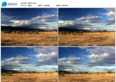 草原风光非洲草原蓝天风光视频实拍素材