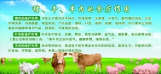 猪矢量素材猪牛羊肉的食疗作用图片