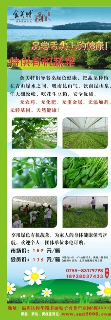 绿色蔬菜大棚图片