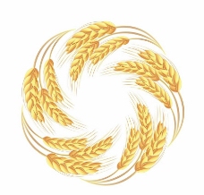 小麦动感麦穗圈圈图片