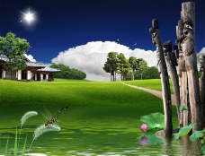 荷塘风景图图片
