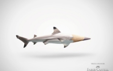 铅笔设计 鲨鱼篇图片