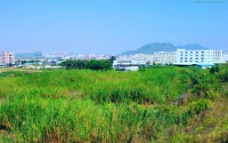 绿色城市 生态工业区图片