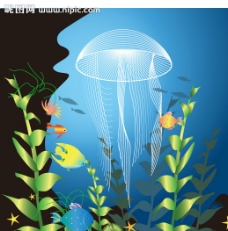 illustrator绘制美丽海底世界图片