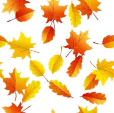 矢量绚丽秋季树叶背景素材